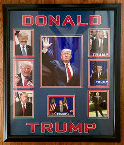 Donald Trump DX Framed Collage