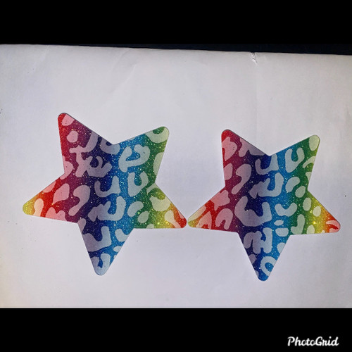 Rainbow Star Glitter Pasties