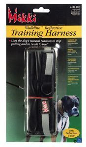 Harness &  Training