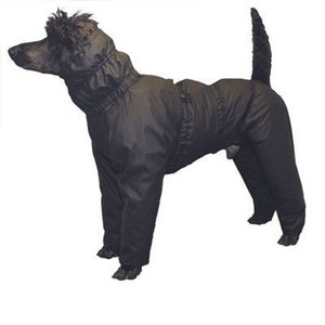 Dog Coats And Accessories