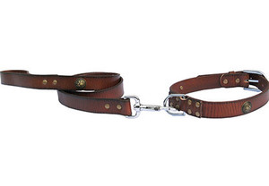 Dapperdog Leather Show Leads & Collars