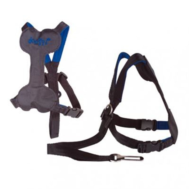 Car Safety Harness