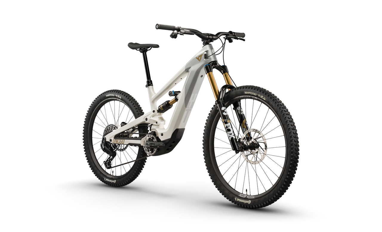 YT DECOY MX CORE Bosch CX Gen5 800Wh Platinum Grey