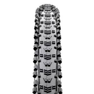 Maxxis 29 x 2.40 WT Aspen EXO TR 120TPI Folding MTB Tyre
