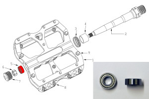 Reverse Bearing for Escape Pedal Bike