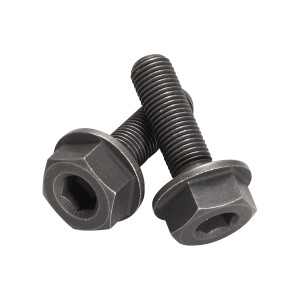 Reverse Hub Base RE Bolt Set Bike