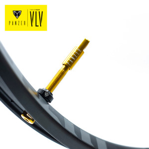 Panzer Tubeless Valves MTB or Road Gold