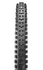 Maxxis Dissector Troy Brosnan's signature tire Maxxis Dissector Troy Brosnan's signature tire