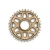 e*thirteen Helix Race e*spec Chainring – Avinox, 36T Bronze