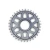 e*thirteen Helix Race e*spec Chainring – Avinox, 36T Silver