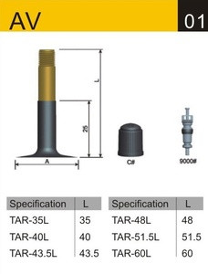 Black Cat Bike Tube Schrader AV 24 x 2.125/2.40