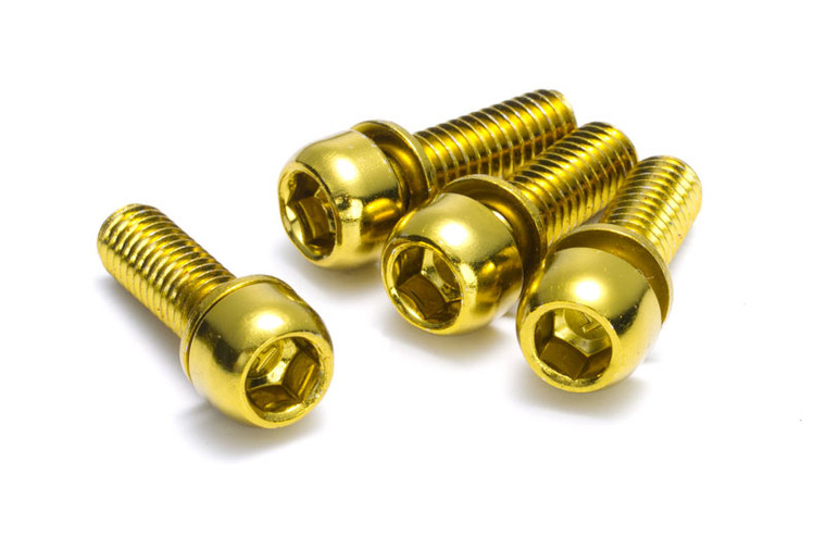 Reverse Brake Disc Brake Bolt Set 4 pcs. Bike M6x 18mm