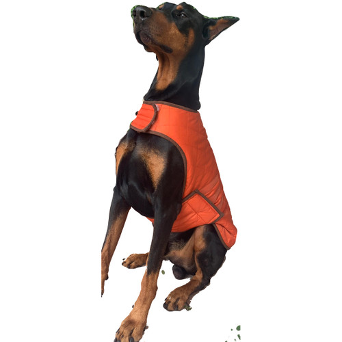 G.H. Bass & Co. Dog Coat, Orange, Large