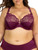 Curvy Couture Women's Tulip Sexy Lace Plus Size Push Up Bra, Purple Velvet, 34DD