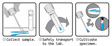 Legionella Swab, Individual