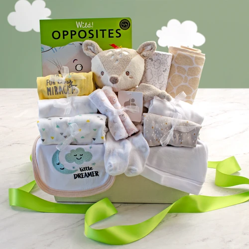 180_main-1-welcomehomebaby-26.jpg