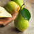 832-KP_main-2-fruithoney.jpg