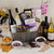 236_main-1-californiawinequartet.jpg