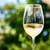817WHT_main-5-whtwinebouquet-26.jpg