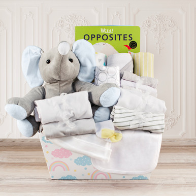 Welcome Home Baby Large Gift Basket