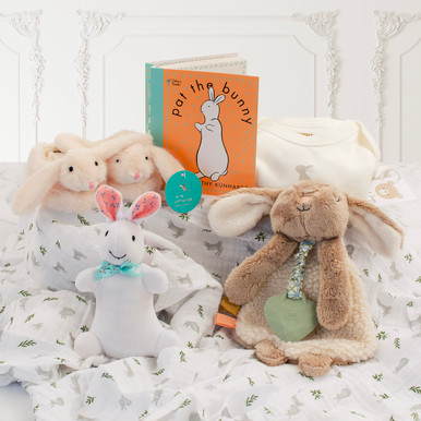 Pat the Bunny Book & Plush Gift Set