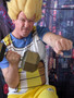 [Vegeta Dragonball Z T-shirt]
