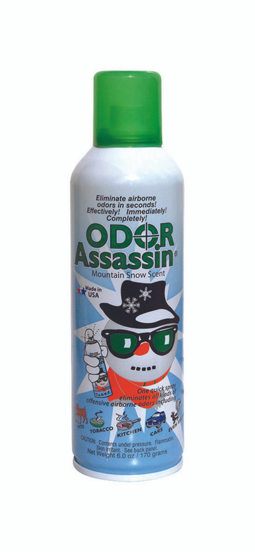 ODOR ASSASSIN MOUNTAIN SNOW