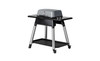 Everdure FORCE Gas BBQ with Stand (LPG) - HBG2S (Stone)