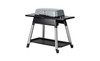 Everdure FURNACE Gas BBQ with Stand (LPG) - HBG3S (Stone)