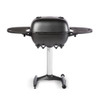 PK Grills PK360 PK Grill and Smoker Graphite - PK360-BTBX-R