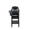 PK Grills All New Original PK300AF Grill & Smoker - Coal