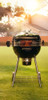 Napoleon Professional 22 Charcoal Kettle