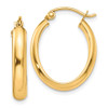 Lex & Lu 10k Yellow Gold Polished 3.5mm Oval Hoop Earrings - Lex & Lu