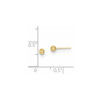 Lex & Lu 10k Yellow Gold Polished 3mm Ball Post Earrings - 4 - Lex & Lu