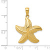 Lex & Lu 14k Yellow Gold Starfish Pendant LAL102166 - 4 - Lex & Lu