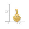 Lex & Lu 14k Yellow Gold Scallop Shell Pendant LAL102168 - 4 - Lex & Lu