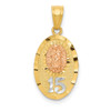 Lex & Lu 14k Two-tone Gold w/White Rhodium D/C Lady of Guadalupe 15 Pendant - Lex & Lu