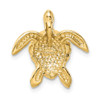 Lex & Lu 14k Yellow Gold Polished Large Sea Turtle Chain Slide - 3 - Lex & Lu