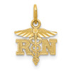 Lex & Lu 14k Yellow Gold D/C Polished RN Nurse Pendant LAL102460 - Lex & Lu