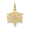 Lex & Lu 14k Yellow Gold D/C Polished RN Nurse Pendant LAL102460 - 3 - Lex & Lu