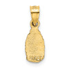 Lex & Lu 14k Yellow Gold Satin & D/C Our Lady of Guadalupe Pendant - 3 - Lex & Lu