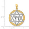 Lex & Lu 14k Yellow Gold w/Rhodium Star of David w/Chai D/C Circle Pendant - 4 - Lex & Lu