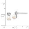 Lex & Lu Sterling Silver FW Cultured Pearl Earrings LAL103269 - 4 - Lex & Lu