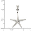 Lex & Lu Sterling Silver Starfish Pendant LAL104929 - 3 - Lex & Lu