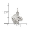 Lex & Lu Sterling Silver Frog Charm LAL107608 - 3 - Lex & Lu