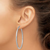 Lex & Lu Sterling Silver w/Rhodium 2.5mm Satin & D/C Hoop Earrings LAL110989 - 3 - Lex & Lu