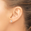 Lex & Lu Sterling Silver Dolphin Earring - 3 - Lex & Lu