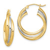 Lex & Lu Sterling Silver w/Rhodium & Gold-plated Hoop Earrings - Lex & Lu