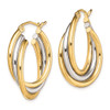 Lex & Lu Sterling Silver w/Rhodium & Gold-plated Hoop Earrings - 2 - Lex & Lu