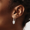 Lex & Lu Sterling Silver Stellux Crystal Snowflake Shepherd Hook Earrings - 3 - Lex & Lu